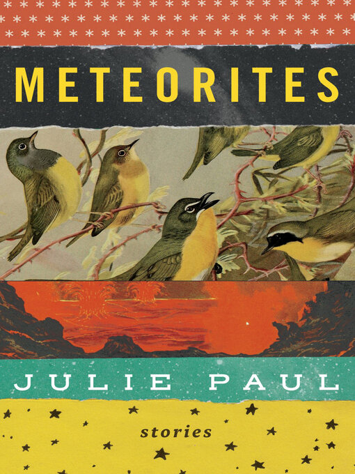 Cover image for Meteorites